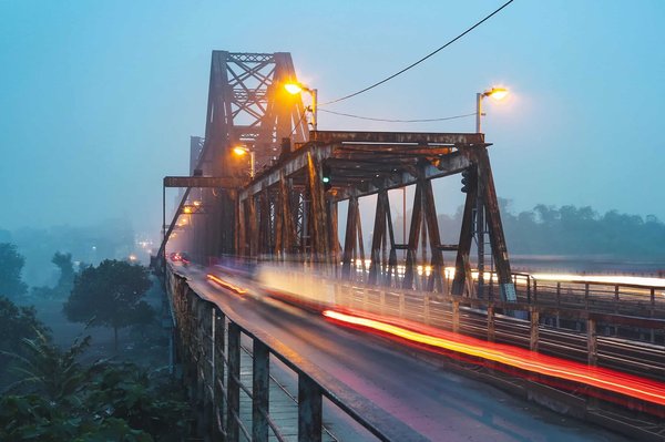 Can Pet Ownership Extend Lifespan and Enhance Mental Health in the Elderly?